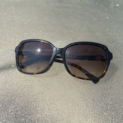 Coach HC8179 Sunglasses