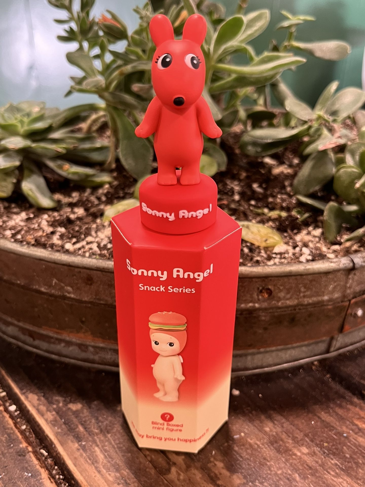 Sonny Angel Snack Series Secret