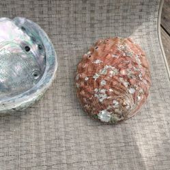 Two Large Red Abalone Shells ( Rare ) 
