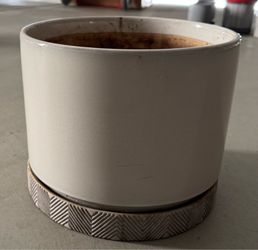 Vase/Planter/Saucer Allen + Roth