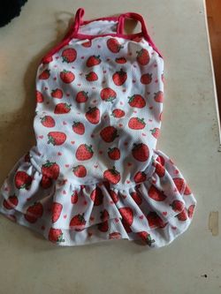 New strawberry summer puppy dog dress