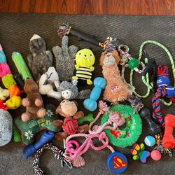 Dog Toys All For $40