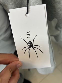 Spider hoodie grey