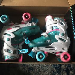 Adjustable Skates 