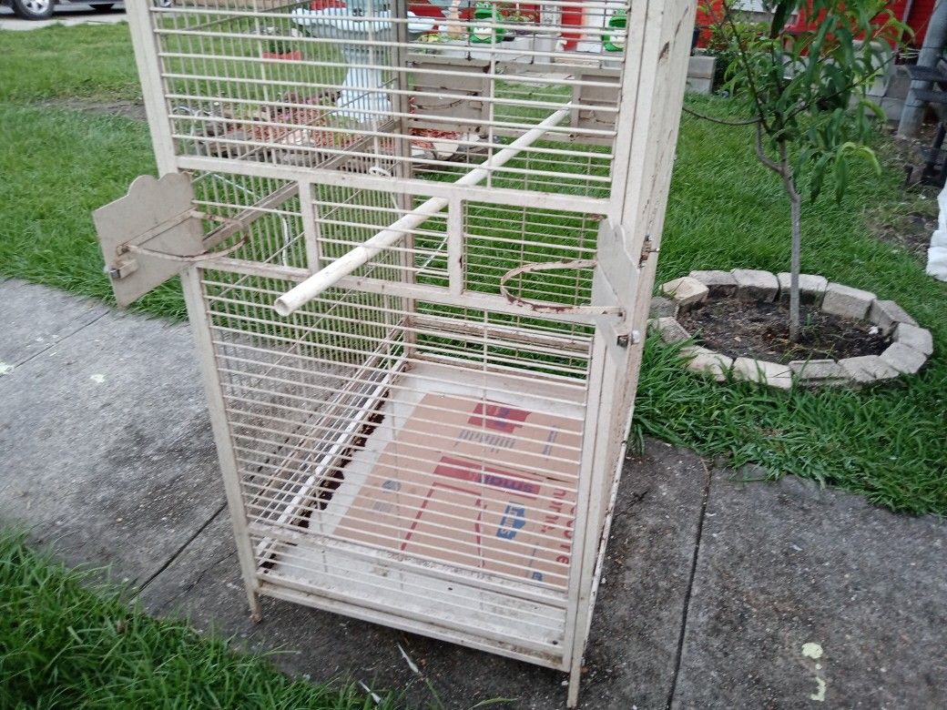 Bird Cage