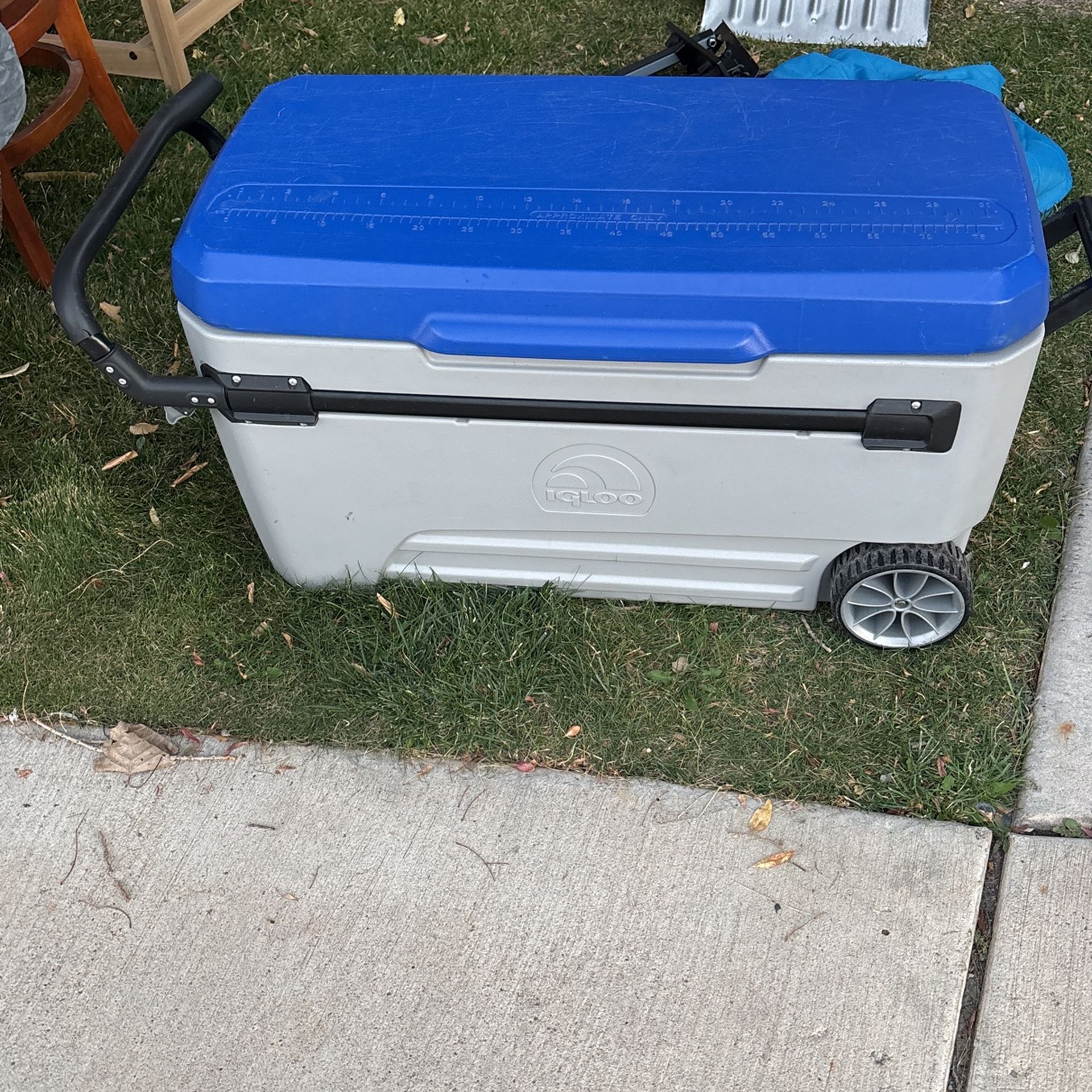 Cooler