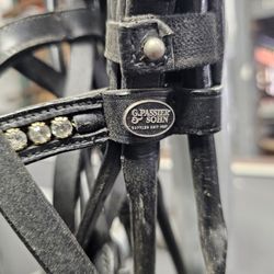 Paasier Dressage Full Bridle Warmblood 