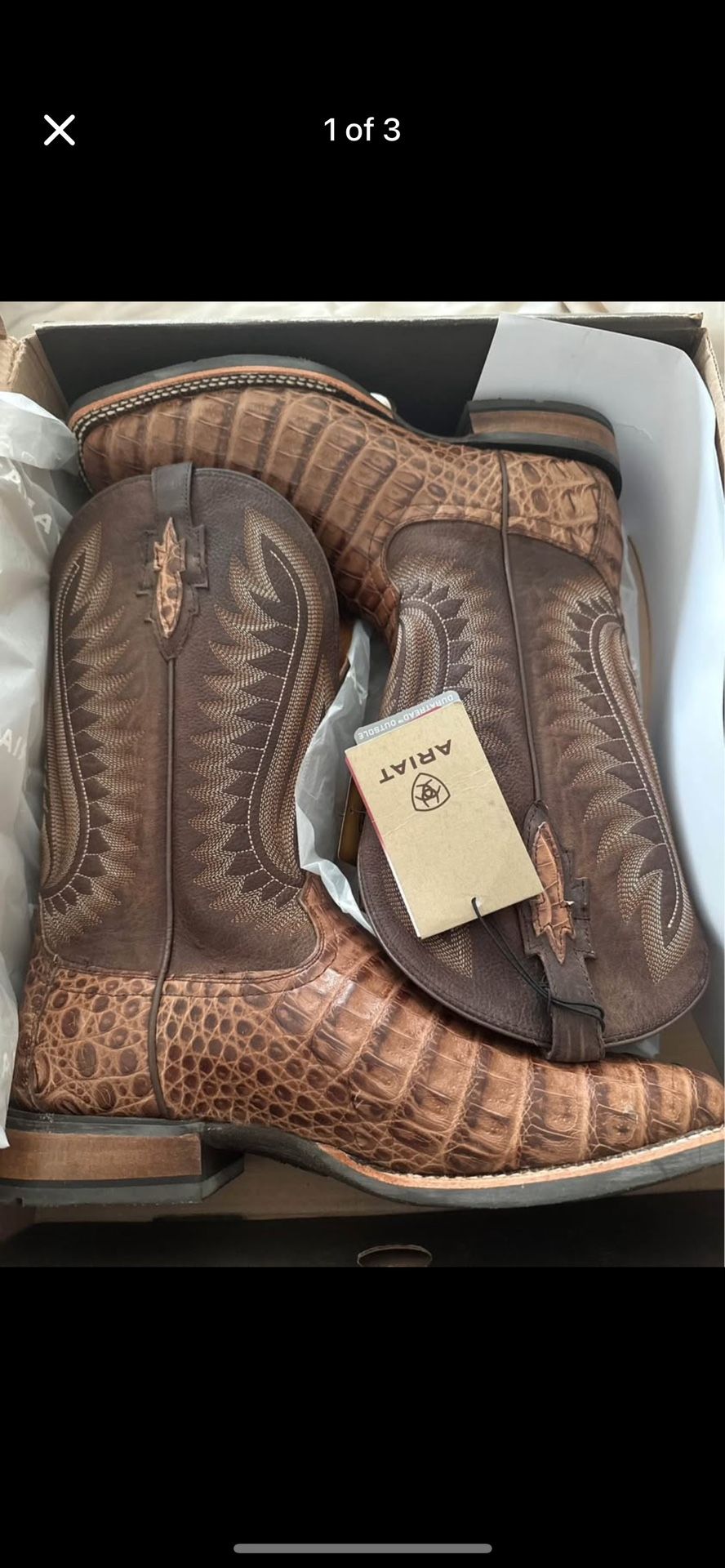 Brand New Ariat Boots