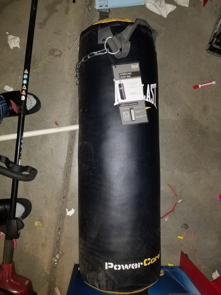EVERLAST POWER CORE HEAVY BAG
