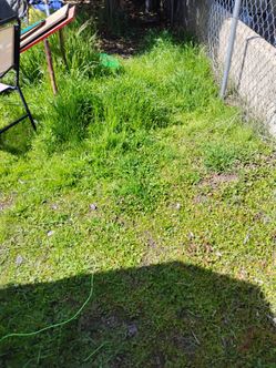Yard clean up