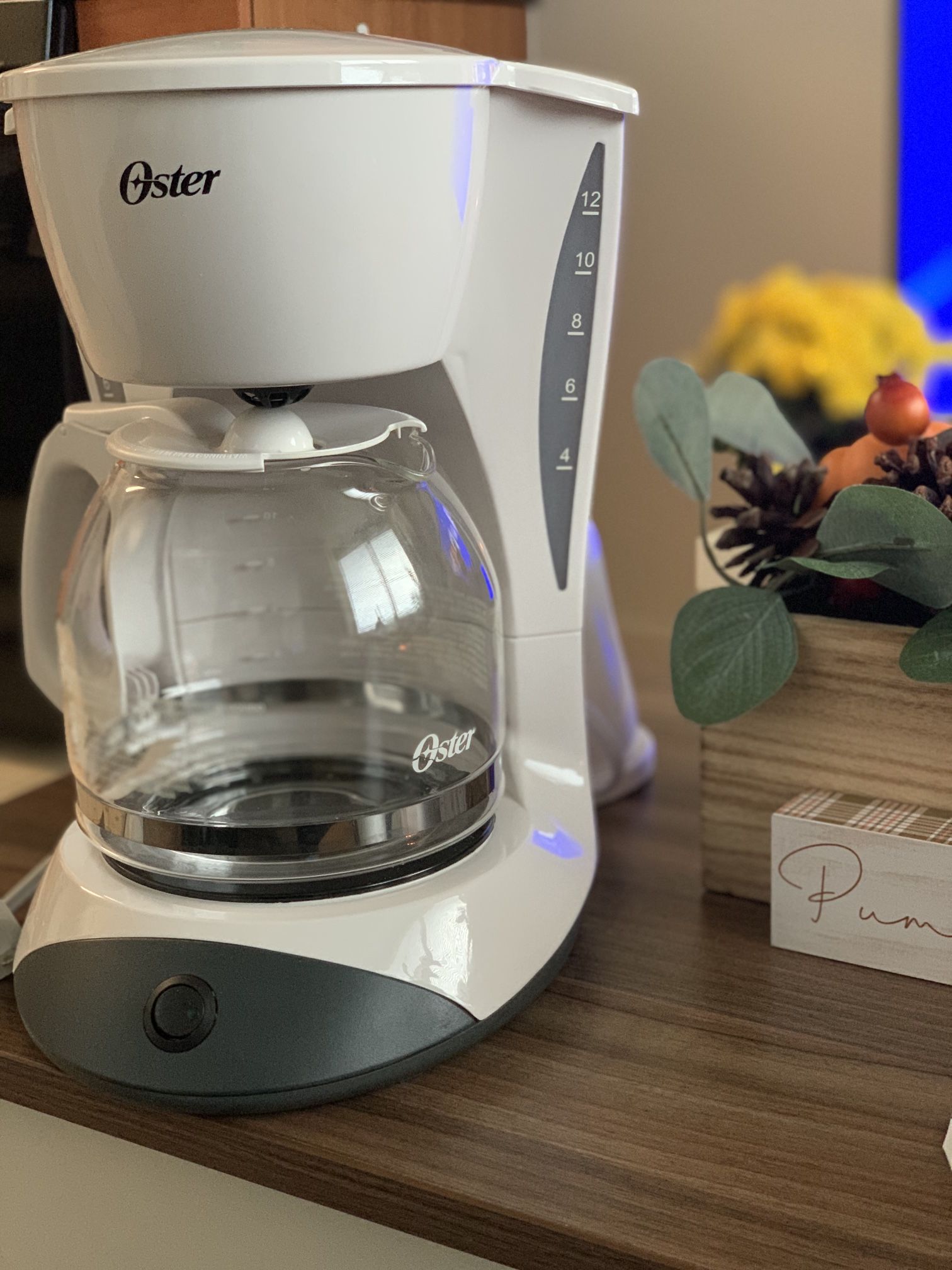 Brand New Oyster Coffee maker 