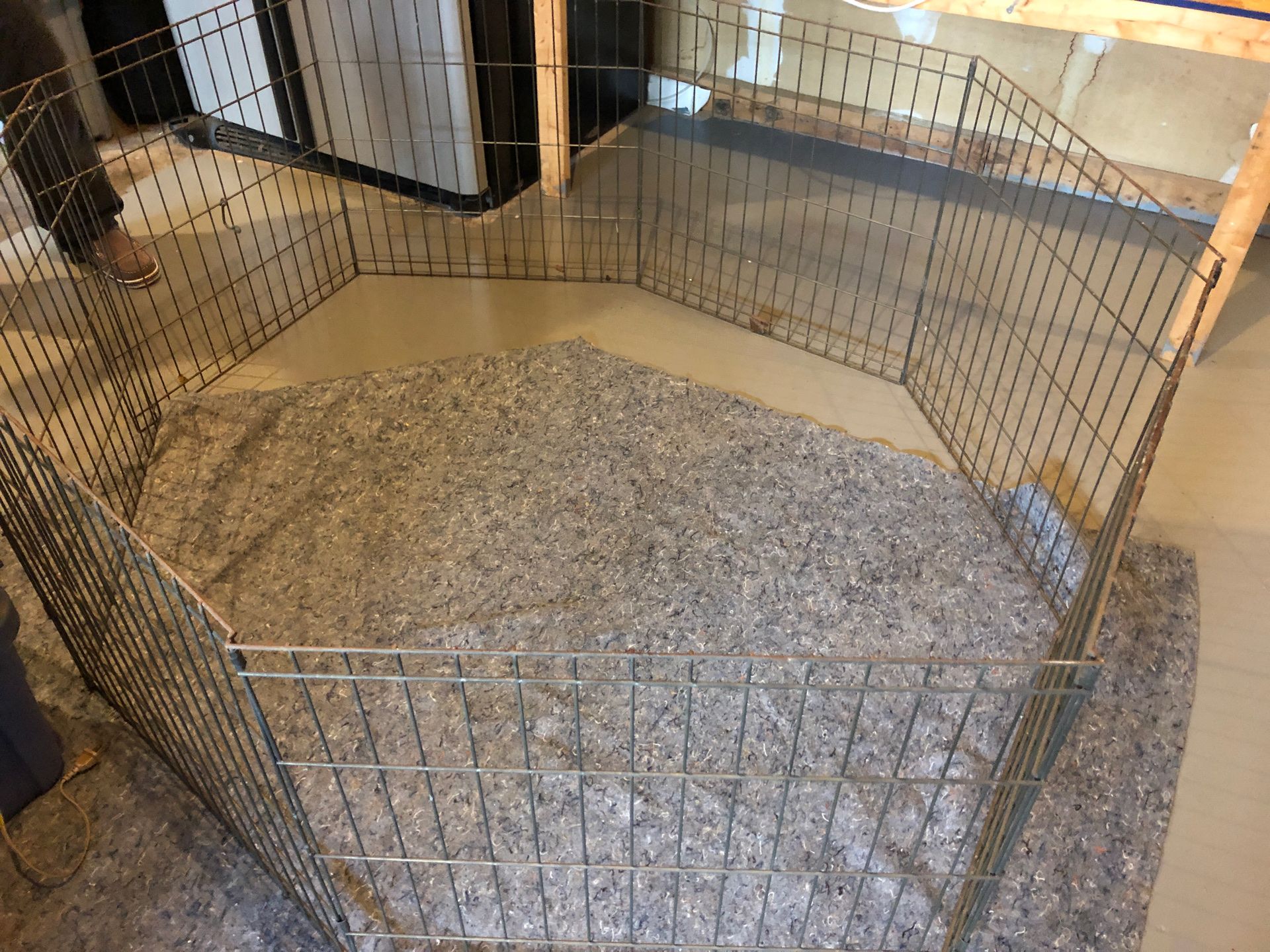 Five ft collapsible dog or animal fence