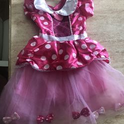 Halloween Minie Costume