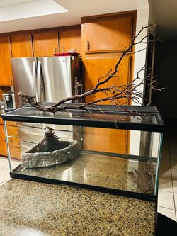 Reptile tank ( 36x18x18 )