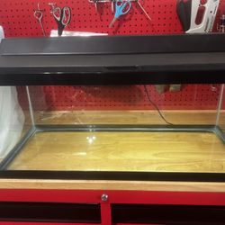 Fish Tank