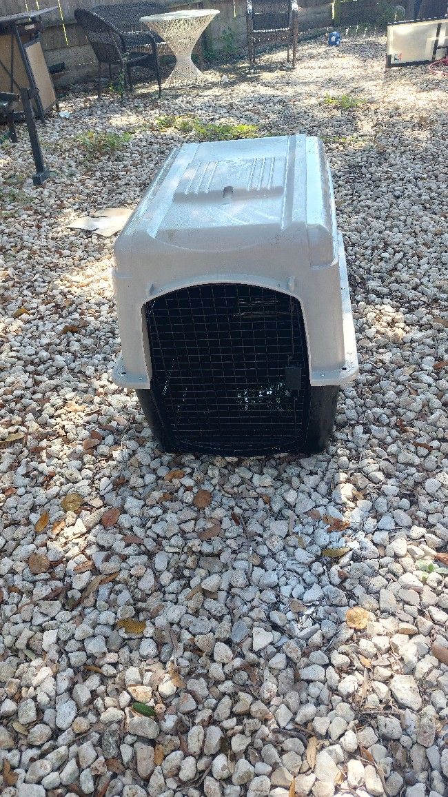 Dog Cage