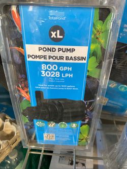 Water pump