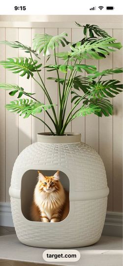 Kitty litter box
