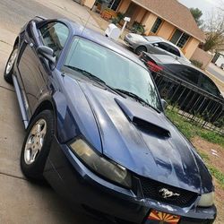 2003 Ford Mustang