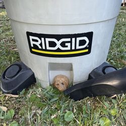 ***Reduced***Rigid***5 HP 12 Gallon Wet / Dry Shop Vac W/ Accessories