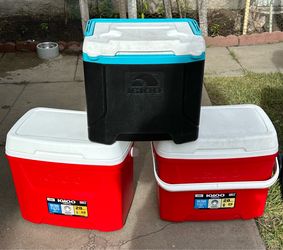 Igloo coolers
