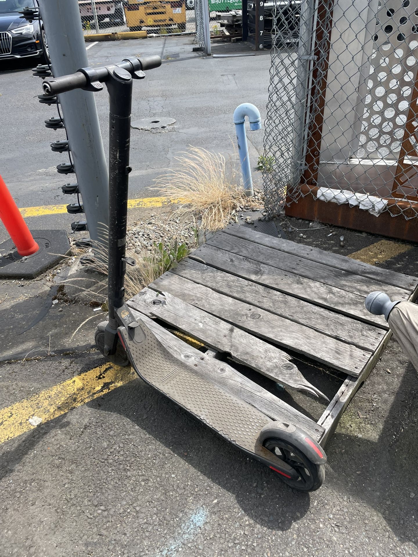 Ninebot Scooter