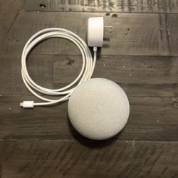 Google home mini