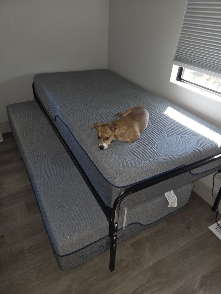 Twin Sized Day Bed W/ Matresses