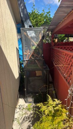 Large two level terrarium