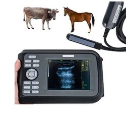 5.5” Vet Scanner W/ Rectal Probe For Cattle Horse Camel Cow Pregnancy Test
