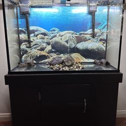 Aquarium + Equipment