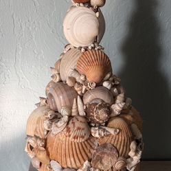 Seashell Decor