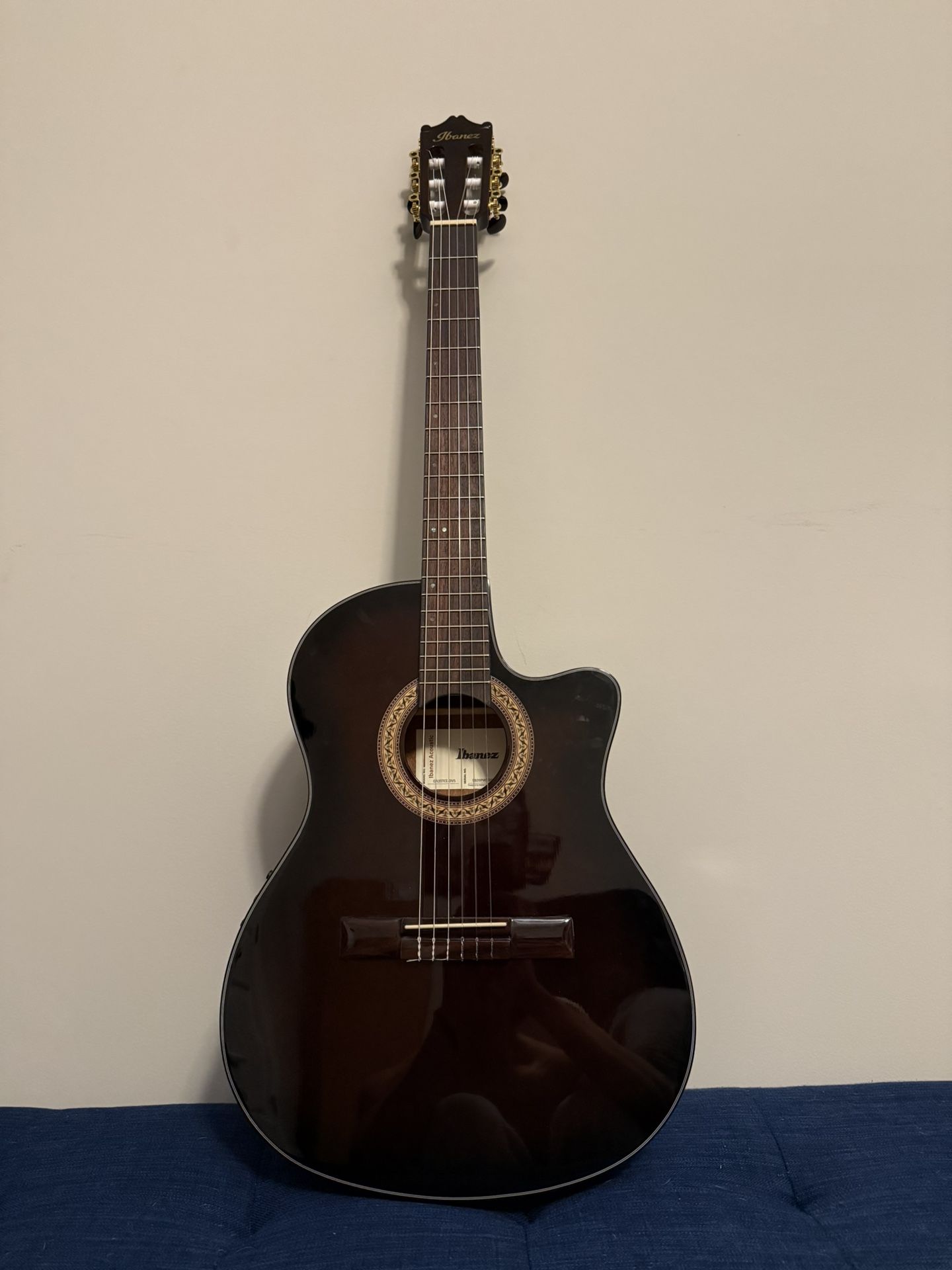 Ibanez GA35TCE-DVS Classical-Acoustic Thinline Guitar