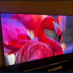 Samsung 65" Class NU8000 Premium 4K UHD TV