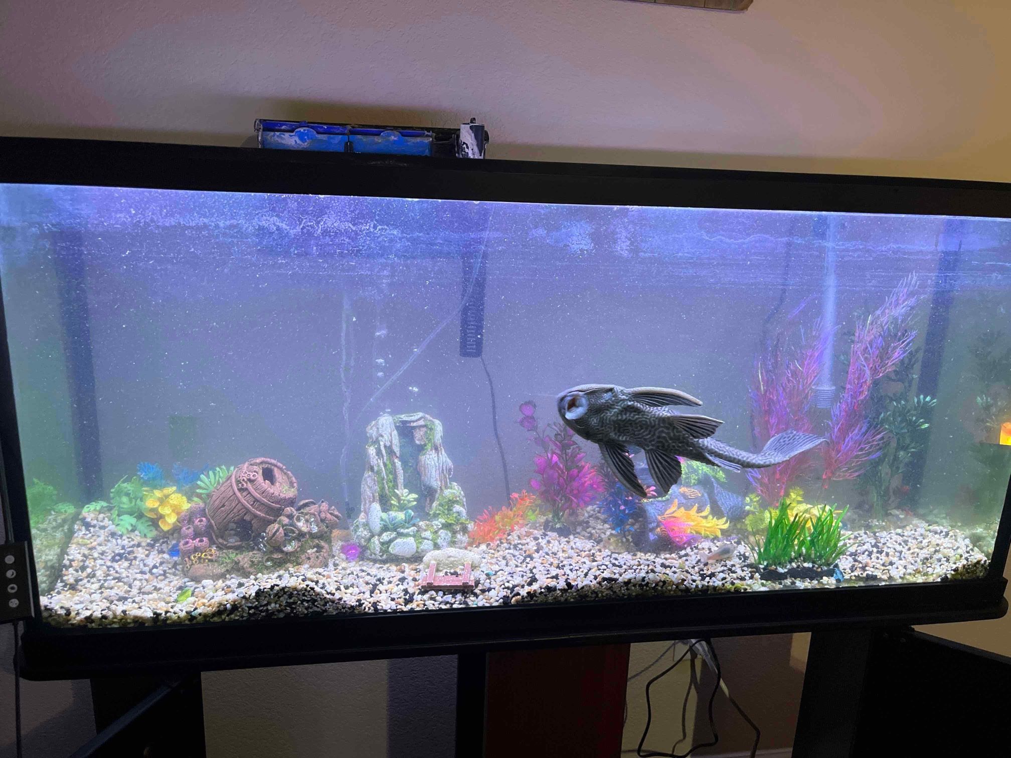 Fish Tank And Stand