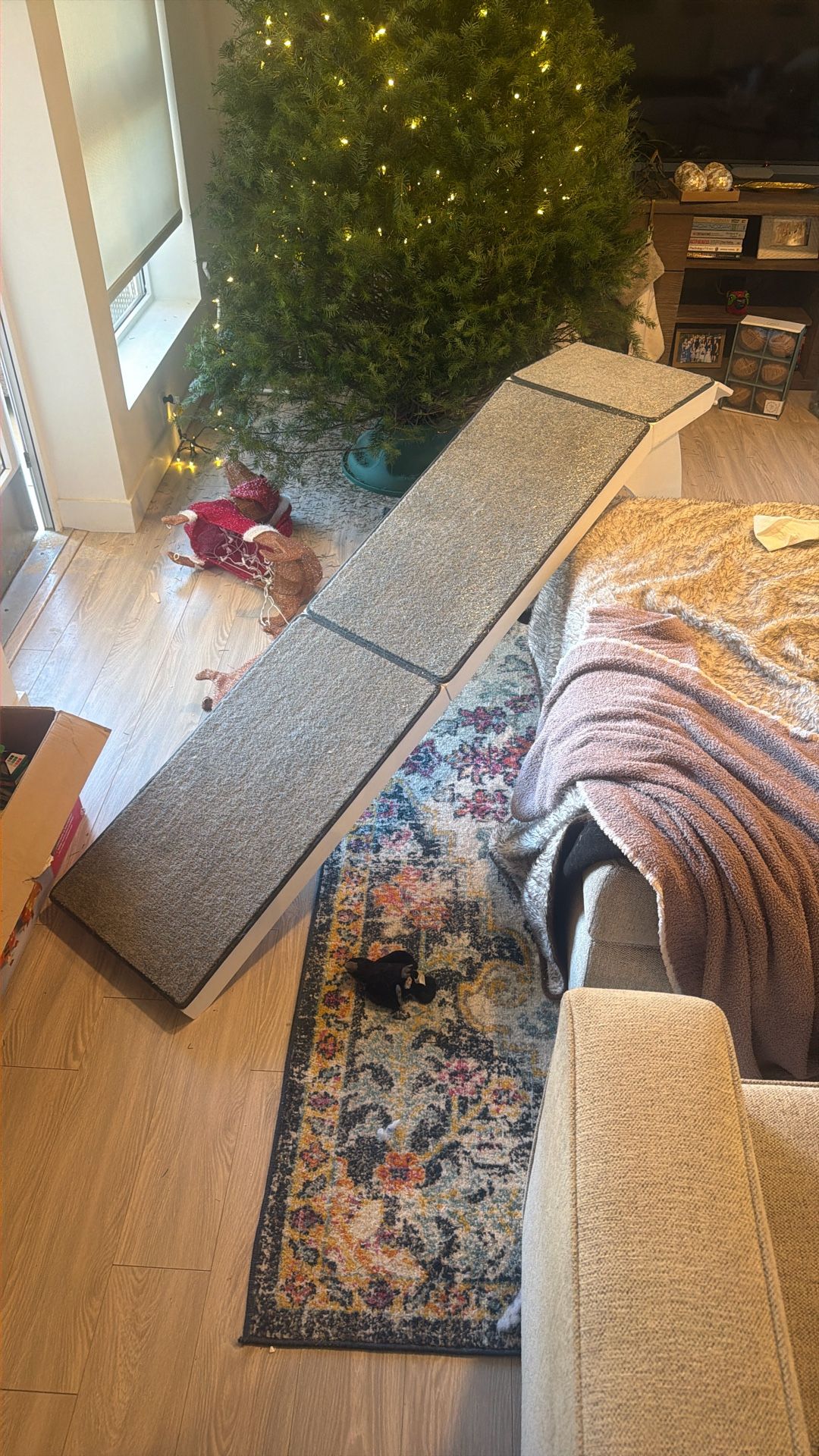 PetSafe CozyUp Bed Ramp