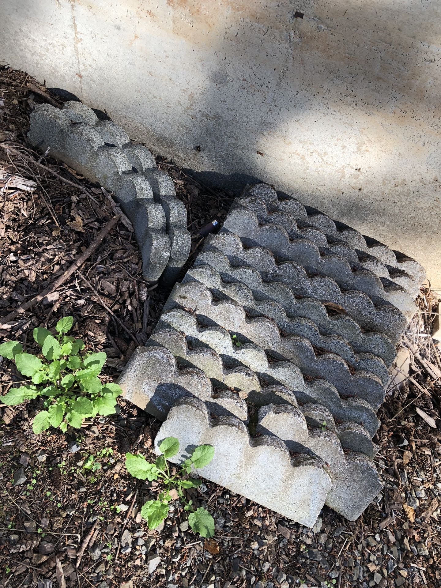 Scalloped Edging Stones