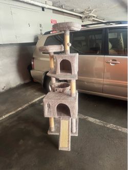 5 foot 5 cat tower $50
