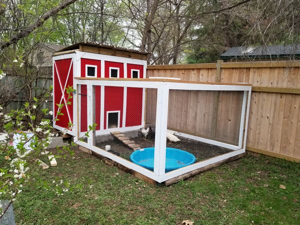 Chicken Coop For Sale In Prior Lake Mn Offerup