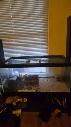 Glass Reptile Tank with Screen Lid