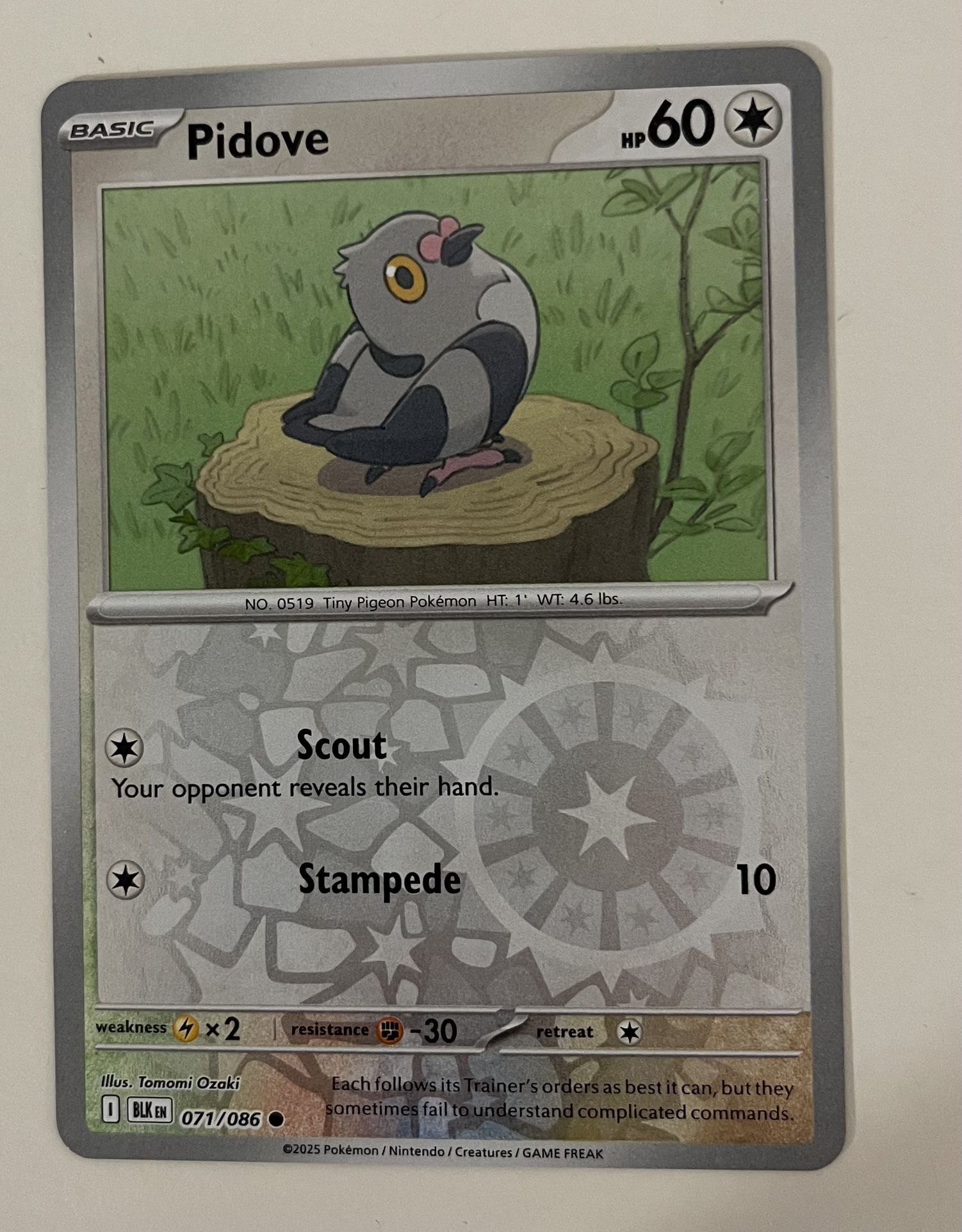 Pokémon