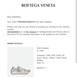 Bottega Veneta Orbits Size 10