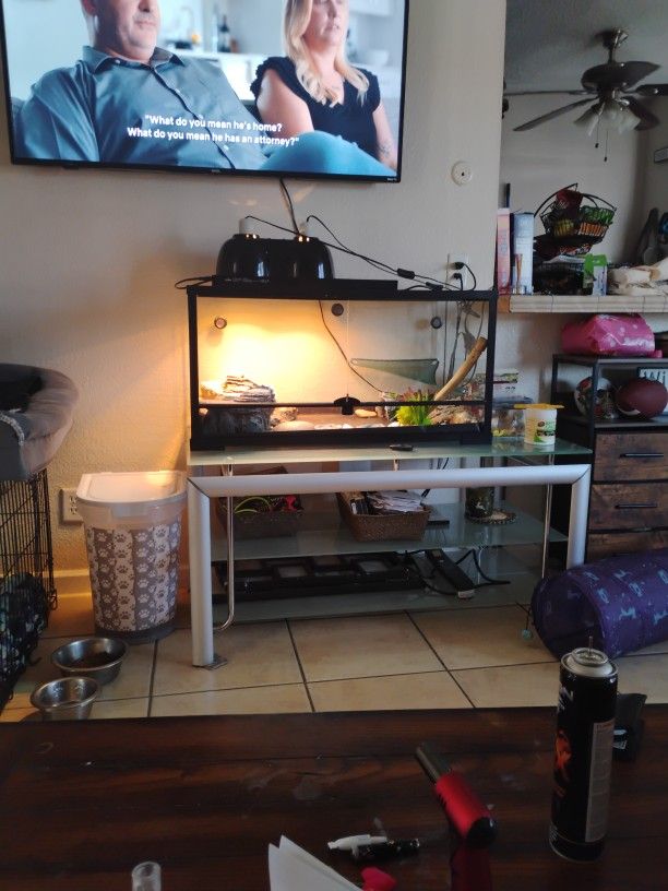 40 Gallon Reptile Tank