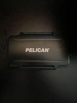 Pelican SD Card Case
