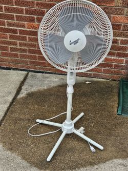 Fan