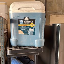 Ice Chest With Handle 