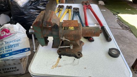 Workforce 5 Inch