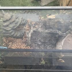Loaded Herp Habitat W/accesories, Scenery, Caves, Pond, etc-Temperature Controlled Heated Substrate.  45 Gallon 18”x36”x16”h. Only $150/firm