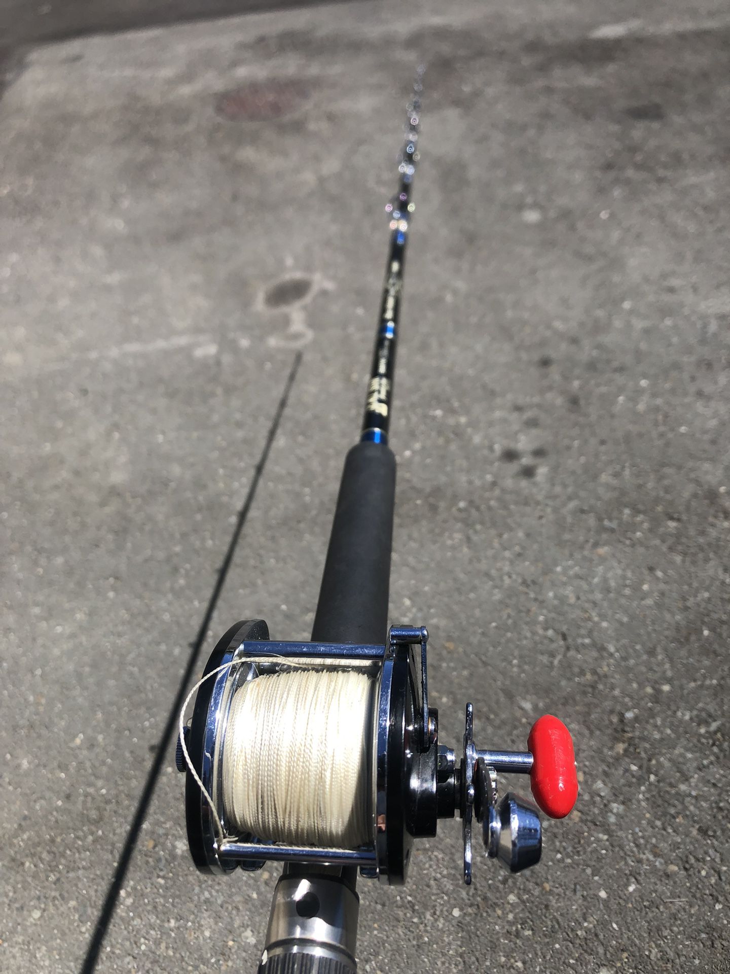 Fishing Pole And Reel 