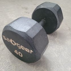 🔥 40lb / 40 Pound Sagear Hex Dumbbell Home Gym Workouts Strength Training Weightlifting Fitness Equipment Exercise CrossFit